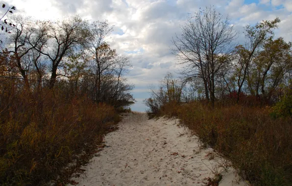 Picture Beach, Autumn, Beach, Autumn