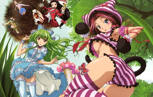 Girls, watch, tale, witch, ears, Alice in Wonderland, code geass, tabata hisayuki