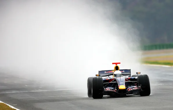 Formula 1, formula 1, rb7, red bull