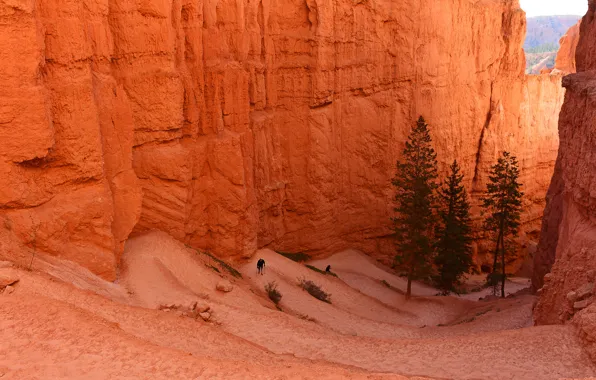 Picture mountains, canyon, gorge