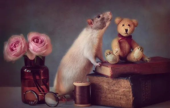 Picture toy, books, mouse