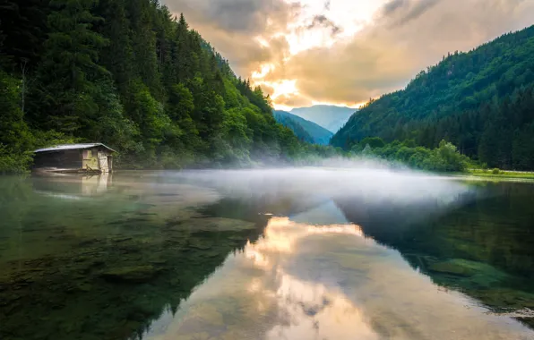 Picture forest, mountains, fog, lake