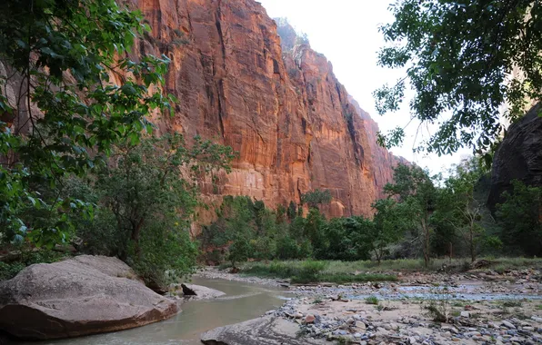 Mountains, nature, rock, photo, USA, parks, Zion Utah