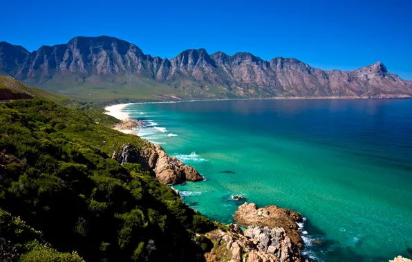 Sea, forest, shore, coast, mountain, Africa, South, Cape Town