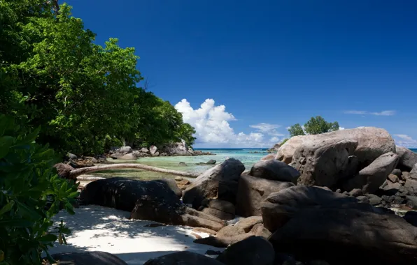 Sea, beach, island, Paradise
