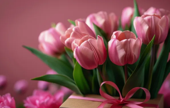Holiday, box, gift, bouquet, spring, tulips, pink, March 8