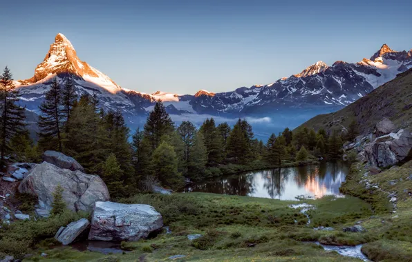 Picture trees, mountains, Switzerland, Alps, Switzerland, Alps, Zermatt, Zermatt