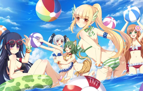 Picture beach, summer, stay, Deluca, Tora No Tsubasa