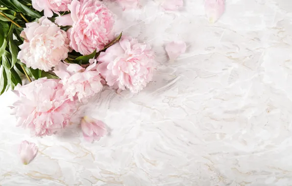Flowers, bouquet, carnation, clove