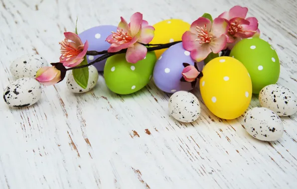 Flowers, eggs, spring, colorful, Easter, happy, wood, pink