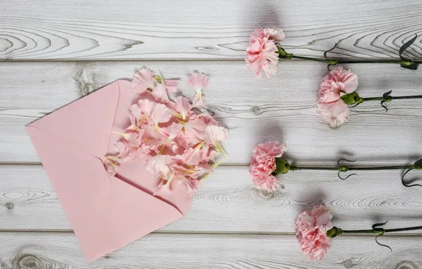 Flowers, petals, pink, wood, pink, carnation, flowers, the envelope