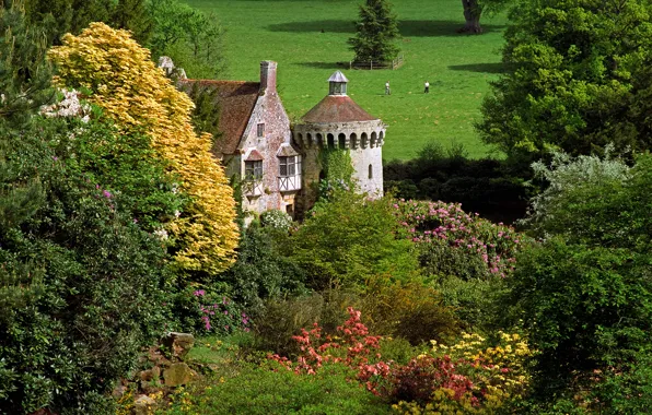 Field, trees, flowers, castle, England, the bushes, Scotney Castle