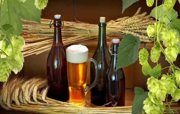 Wheat, beer, glasses, bottle, hops
