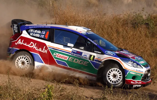 Picture Ford, Auto, Sport, Machine, Race, WRC, Rally, Fiesta