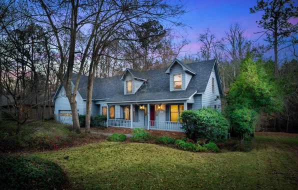 Trees, house, the light in the Windows