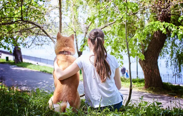 Greens, girl, the sun, trees, river, dog, jeans, t-shirt