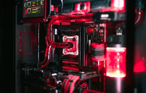 Computer, macro, backlight, details