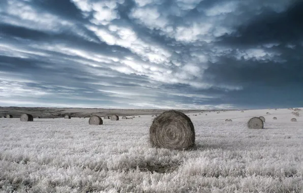 Clouds, Field, infrared, bales