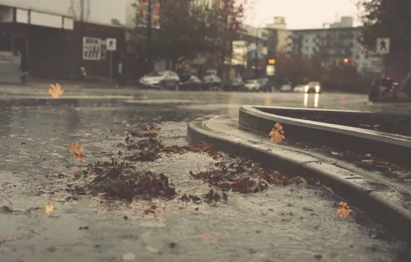 City, cars, autumn, leaves, street, pond, raining