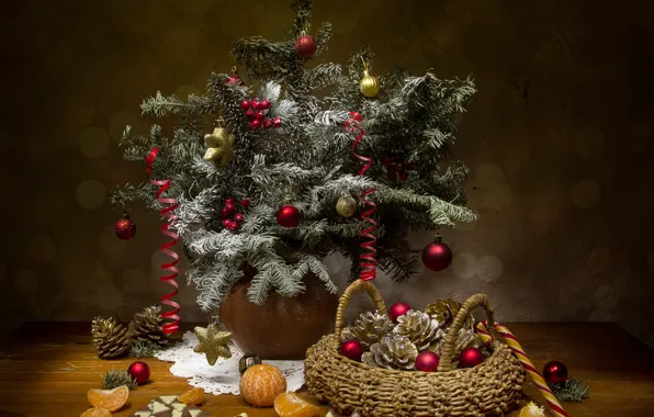 Decoration, branches, holiday, new year, spruce, fruit, still life, basket