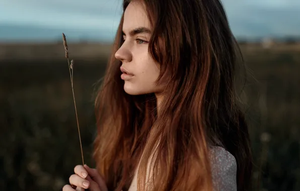 Picture girl, profile, a blade of grass, Juliana Naidenova