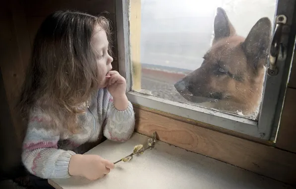 Dog, window, girl