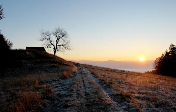 The sky, the sun, landscape, nature, beauty, morning