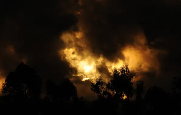 The sky, the sun, clouds, sunset, clouds, gold, silhouettes, dereja