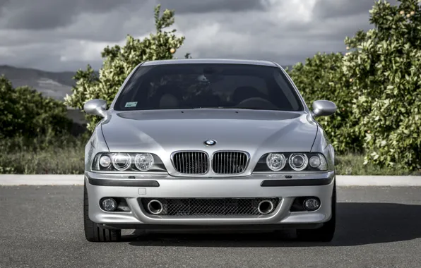 Picture BMW, Classic, Legend, E39, Silver