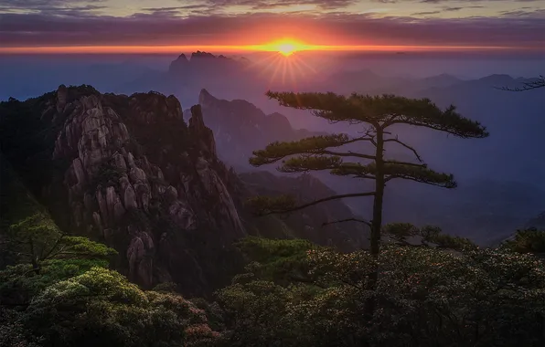 The sun, clouds, rays, sunset, mountains, fog, tree, rocks