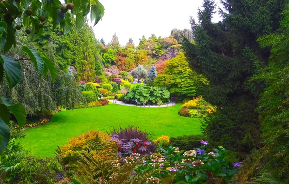 Picture greens, grass, trees, flowers, design, garden, Canada, Vancouver