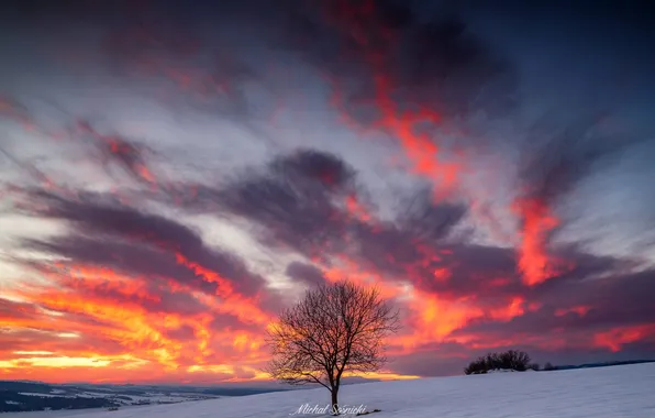 Winter, snow, nature, Michał Sośnicki, fiery sky
