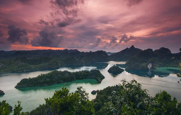 Forest, the sky, leaves, Islands, clouds, mountains, clouds, rocks