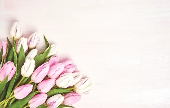 Flowers, bouquet, tulips, pink, pink, flowers, beautiful, romantic