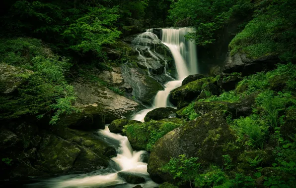 Picture forest, stones, waterfall, boulders