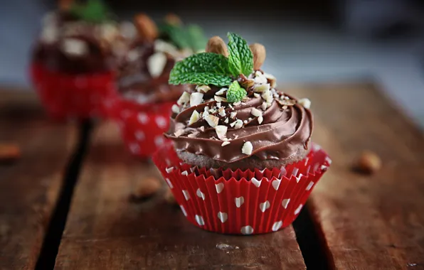 Picture nuts, mint, cakes, cupcake, chocolate cream