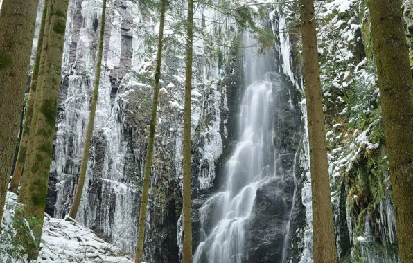 Picture winter, trees, rocks, waterfall, Germany, Baden-Württemberg, Castle Creek Waterfall