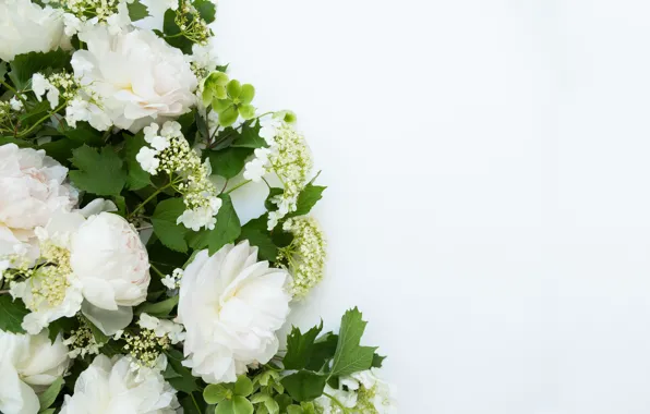 Flowers, background, bouquet, frame, Flowers, bundle