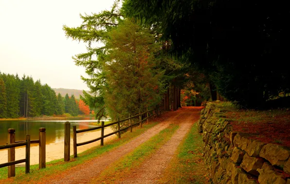 Picture autumn, forest, the sky, leaves, water, trees, mountains, nature