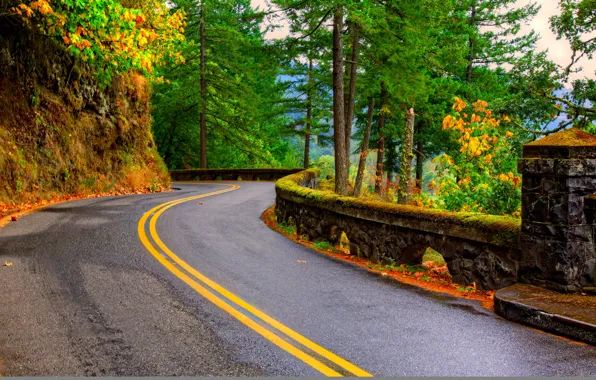 Picture road, autumn, leaves, nature, mountain, colors, colorful, road