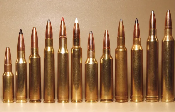 Bullets, cartridges, sleeve, brass, caliber, in a row, rifled