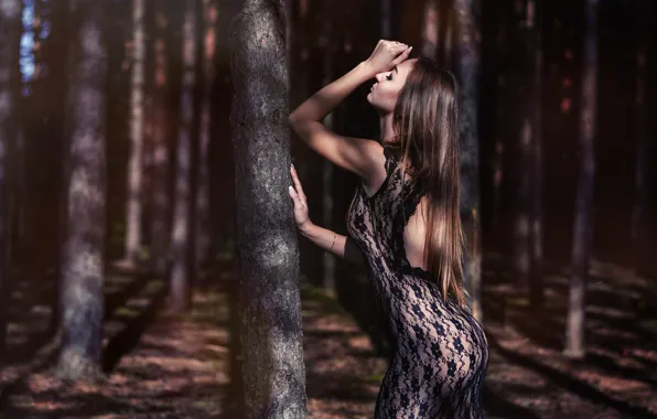 Forest, girl, trees, pose, mood, figure, dress, long hair