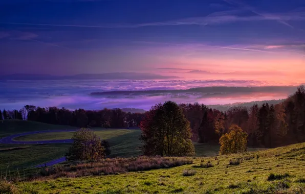 Picture the sky, fog, valley, forest