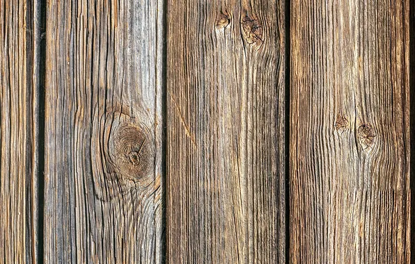 Tree, Board, texture