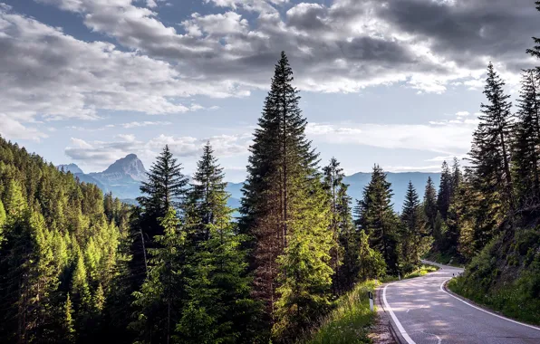 Picture the sun, Italy, mountains, Dolomites, road, trees, Furkelpass, clouds