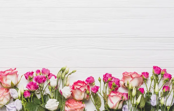 Flowers, Background, Roses, Eustoma