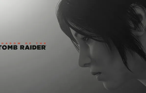 Picture lara croft, long hair, grey background, shadow of the tomb raider