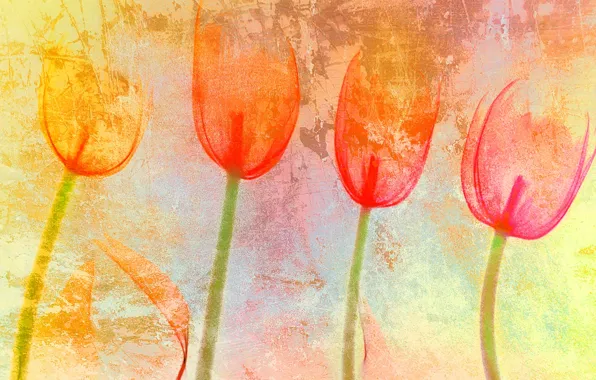 Background, color, texture