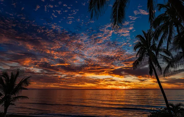 Beach, sunset, Palma, the ocean, dawn