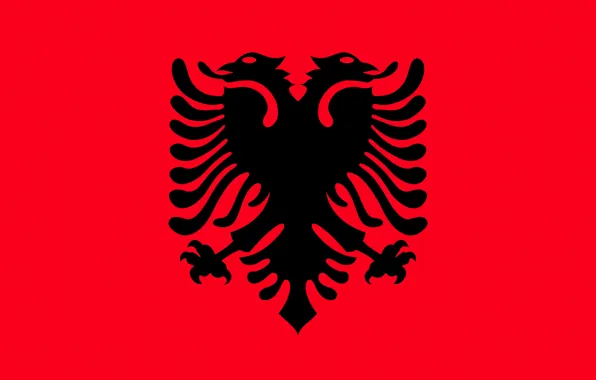 Picture flag, red, eagle, black, eagle, Albania, fon, flag